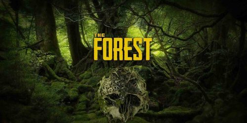 the forest banner